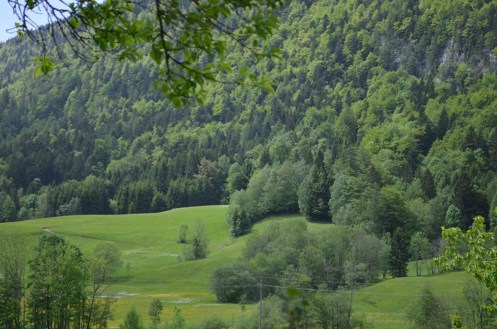 Bauernhof Konig Villa Anger  Kültér fotó