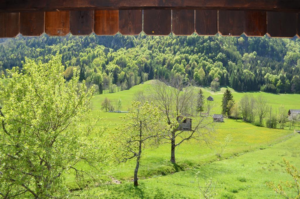 Bauernhof Konig Villa Anger  Kültér fotó