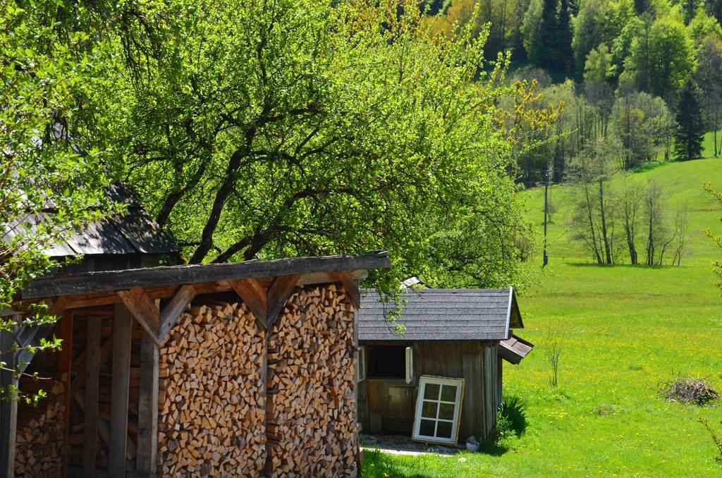 Bauernhof Konig Villa Anger  Kültér fotó